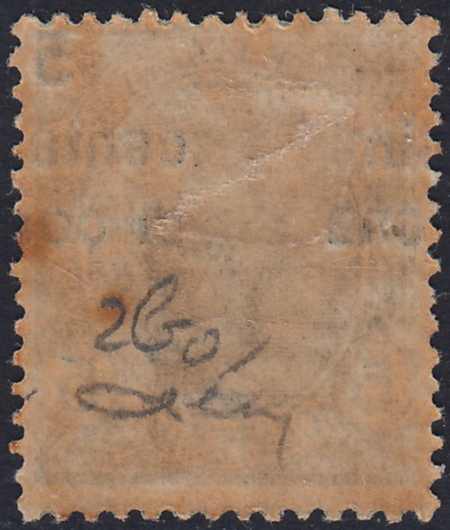 RM10_172 - 1919 - Leoni, c.5 verde con soprastampa fortemente spostata in alto e a sinistra nuovo con gomma (3ba)