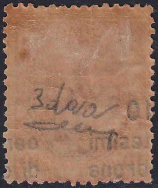 RM10_173 - 1919 - Leoni c. 10 su c. 10 rosa con soprastampa fortemente spostata in basso e a sinistra nuovo con gomma (3daa)