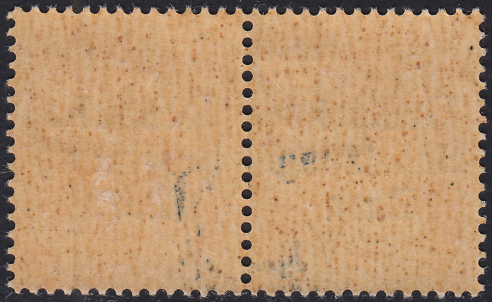 RM10_17 - 1943 - Occupazione tedesca di Zara, Segnatasse c. 20 carminio soprastampato "Deutsche BesetzuAg Zara" in coppia con esemplare normale nuovo con gomma integra (3+3a)