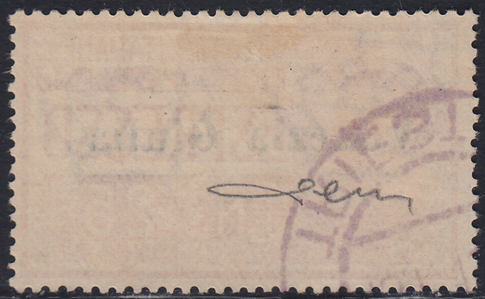 RM10_183 - 1919 - Espresso d'Italia c. 25 rosso con soprastampa "Venezia Giulia" usato (1)