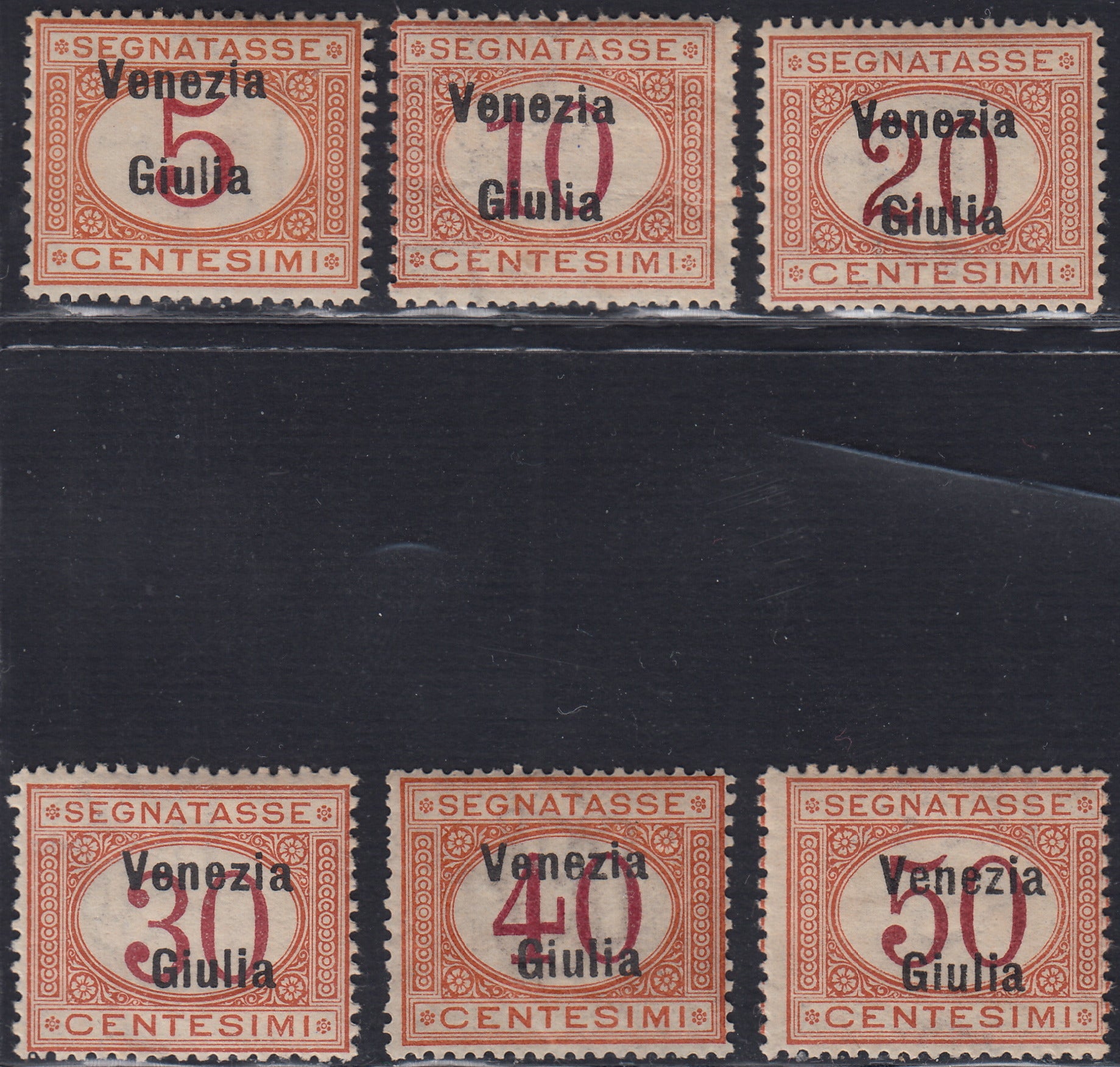 RM10_185 - 1918 - Segnatasse d'Italia con soprastampa "Venezia Giulia" serietta di 6 esemplari nuovi con gomma originale (1/6)