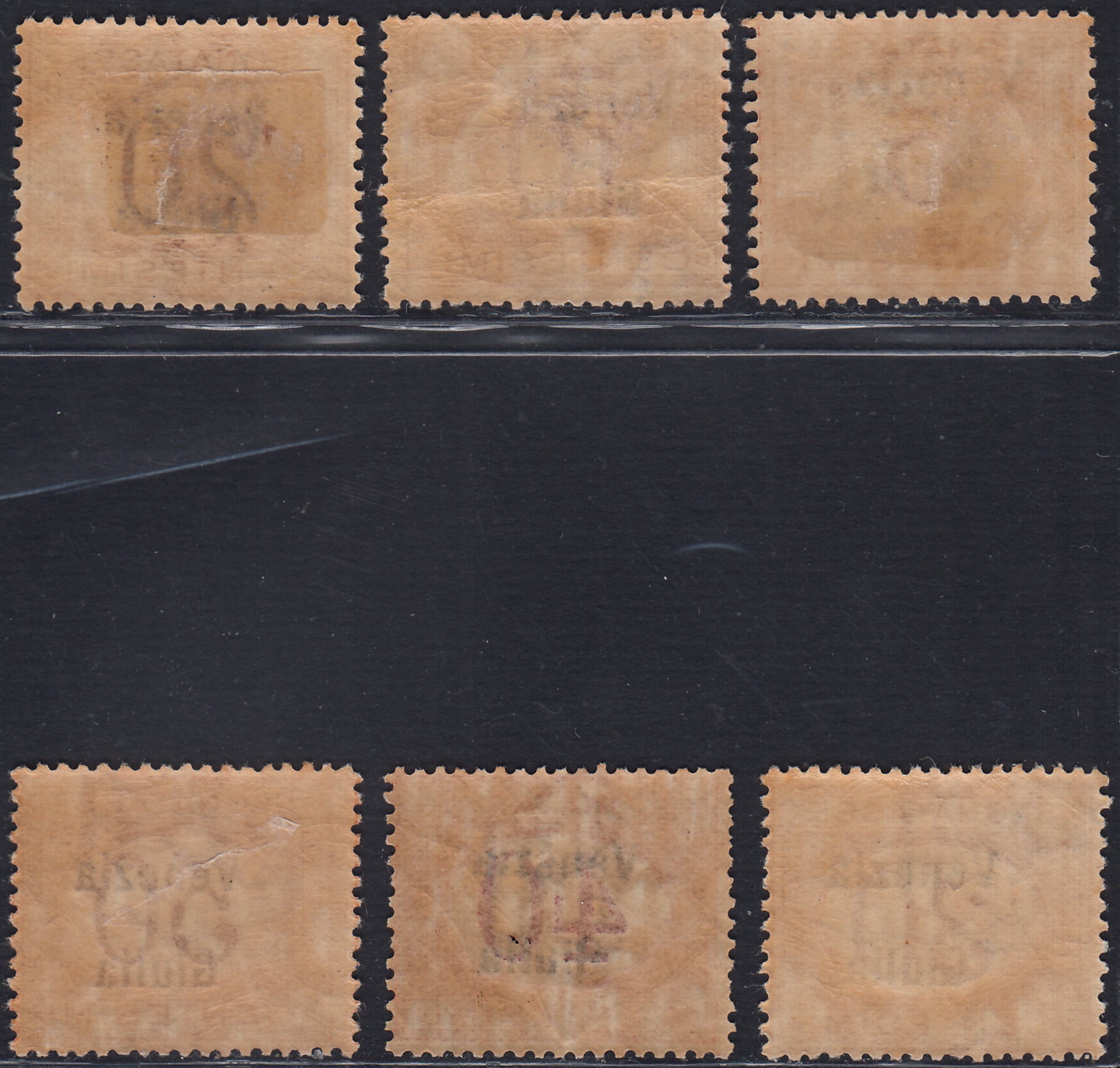RM10_185 - 1918 - Segnatasse d'Italia con soprastampa "Venezia Giulia" serietta di 6 esemplari nuovi con gomma originale (1/6)