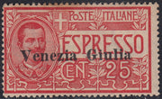 RM10_186 - 1919 - Espresso d'Italia c. 25 rosso con soprastampa "Venezia Giulia" nuovo con gomma integra (1)