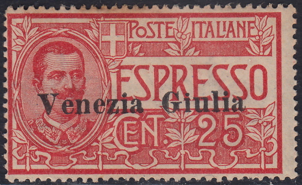 RM10_186 - 1919 - Espresso d'Italia c. 25 rosso con soprastampa "Venezia Giulia" nuovo con gomma integra (1)