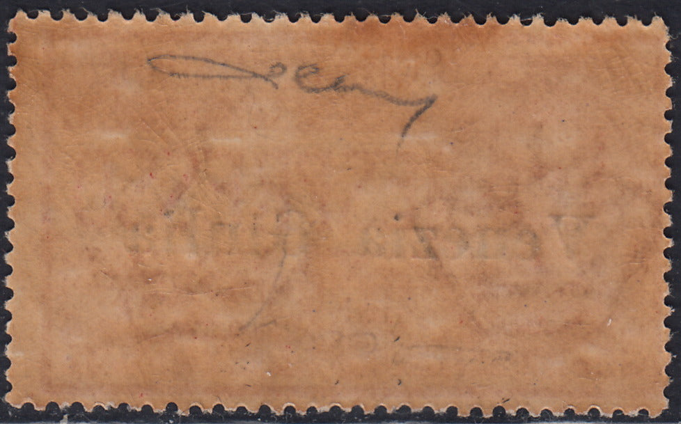 RM10_186 - 1919 - Espresso d'Italia c. 25 rosso con soprastampa "Venezia Giulia" nuovo con gomma integra (1)