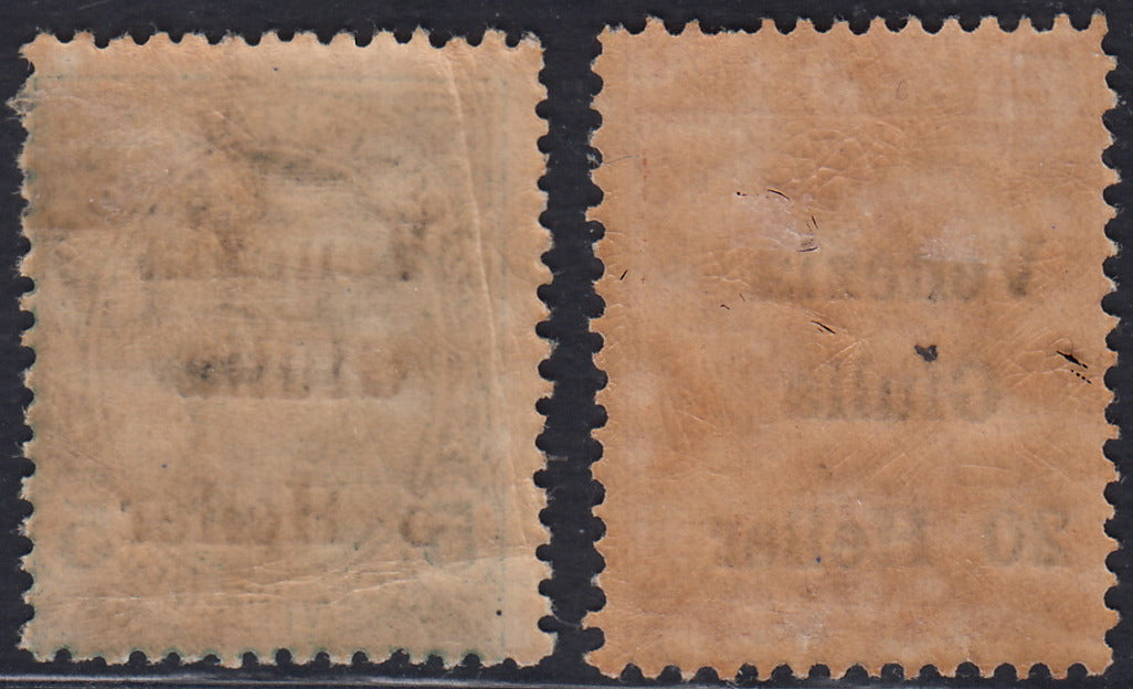 RM10_187 - 1919 - Francobolli d'Italia soprastampati "Venezia Giulia" e moneta in Heller, 2 valori nuovi con gomma (30, 31)