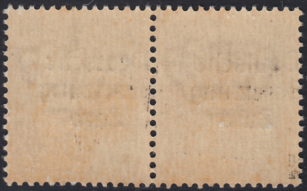 RM10_18 - 1943 - Occupazione tedesca di Zara, Segnatasse c. 50 violetto soprastampato "Deutsche BesetzuAg Zara" in coppia con esemplare normale e con soprastampa fortemente spostata a sinistra nuovo con gomma integra (7ba+7b)