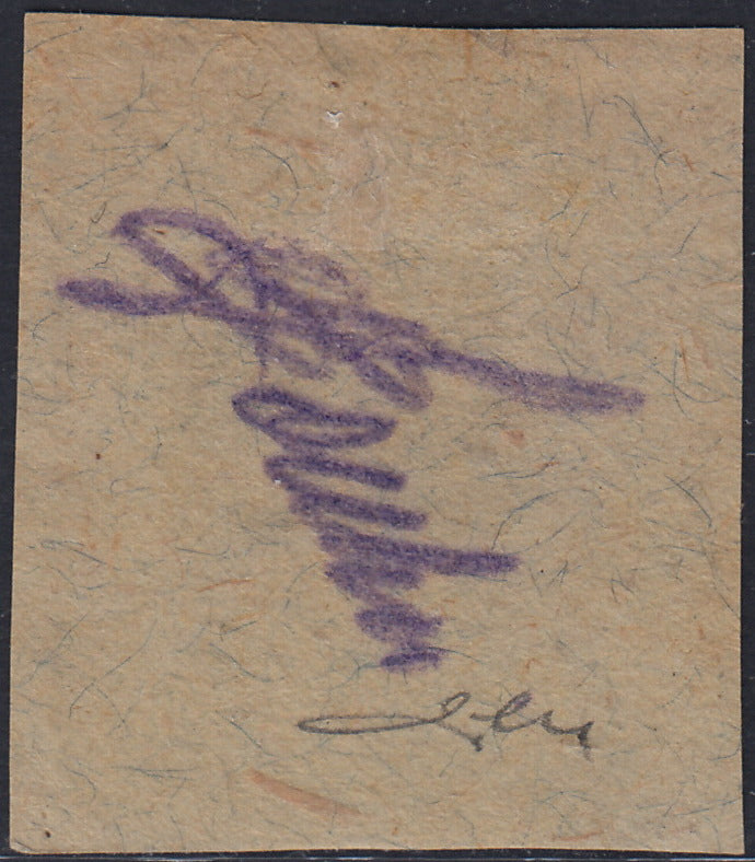 RM10_219 - 1918 - Francobolli d'Austria soprastampati "Regno d'Italia / Trentino / 8 nov. 1918", 6 heller arancio usato su frammento (3)