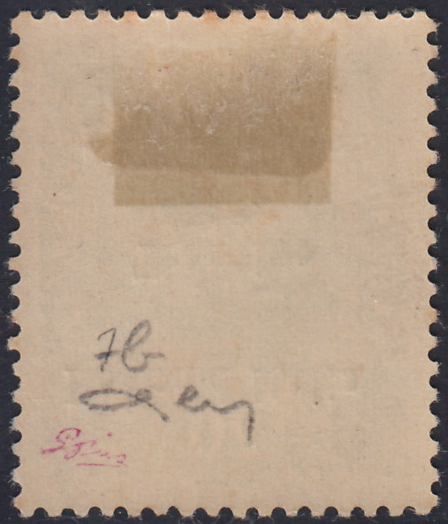 RM10_222 - 1918 - Francobolli d'Austria soprastampati "Regno d'Italia / Trentino / 8 nov. 1918", 20 heller verde scuro soprastampa capovolta nuovo con gomma originale (7b)