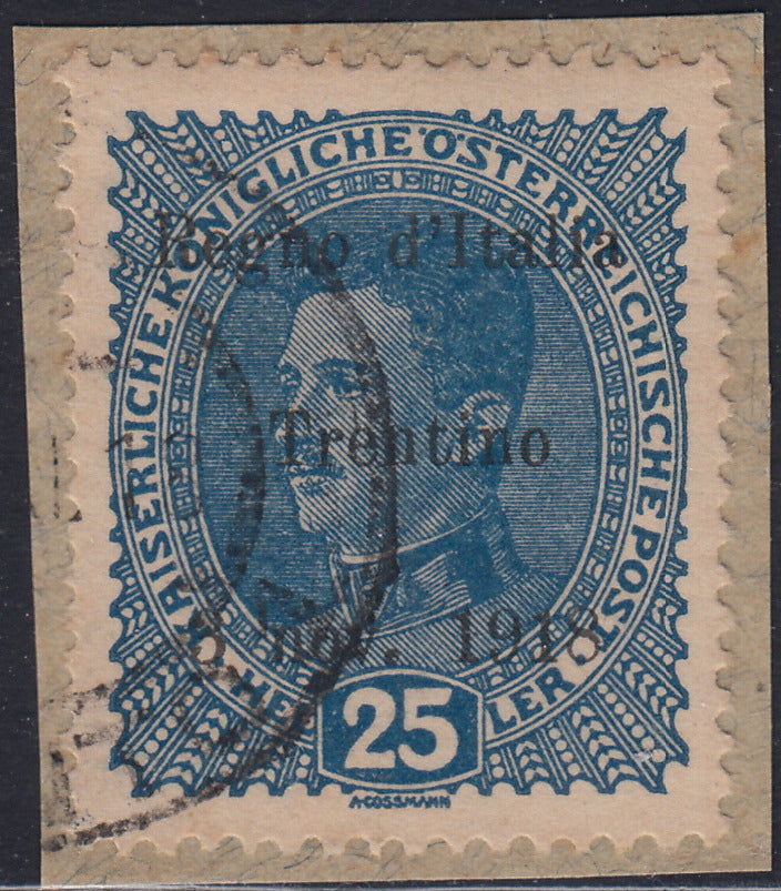 RM10_225 - 1918 - Francobolli d'Austria soprastampati "Regno d'Italia / Trentino / 8 nov. 1918", 25 heller azzurro usato su frammento (8)