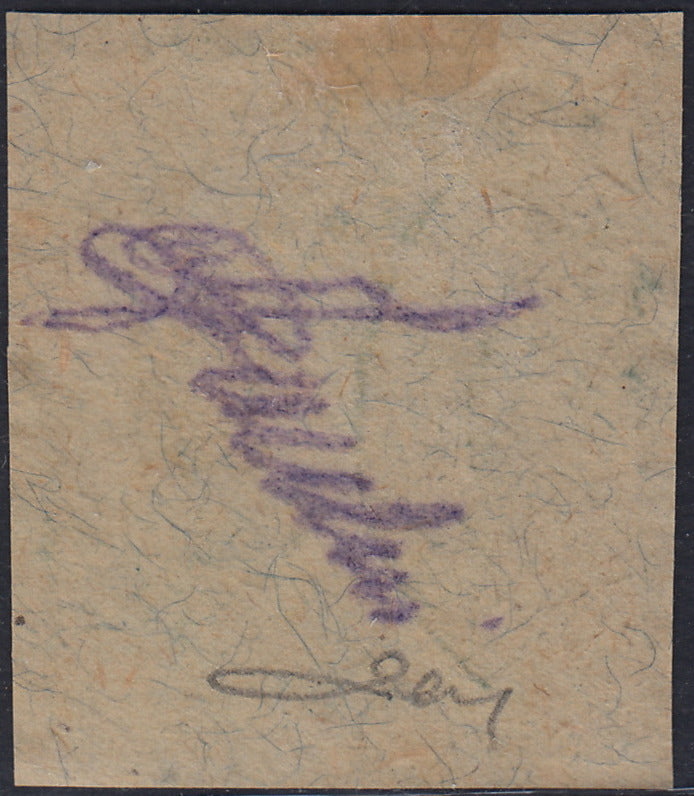 RM10_225 - 1918 - Francobolli d'Austria soprastampati "Regno d'Italia / Trentino / 8 nov. 1918", 25 heller azzurro usato su frammento (8)