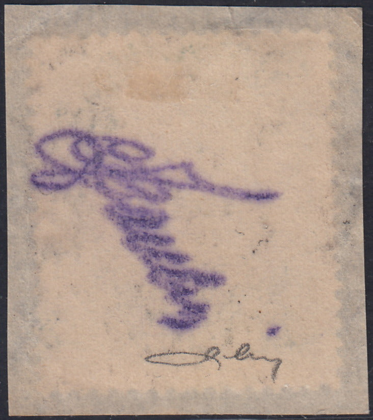 RM10_228 - 1918 - Francobolli d'Austria soprastampati "Regno d'Italia / Trentino / 8 nov. 1918", 60 heller cobalto scuro usato (12)