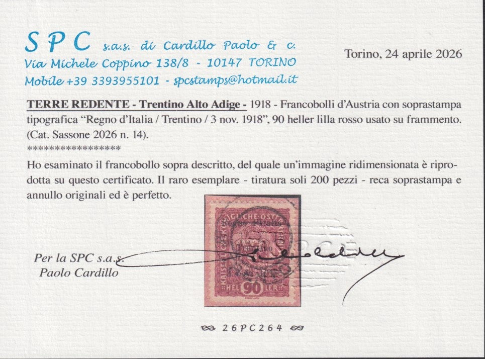 RM10_230 - 1918 - Francobolli d'Austria soprastampati "Regno d'Italia / Trentino / 8 nov. 1918", 90 heller lilla rosso usato (14)