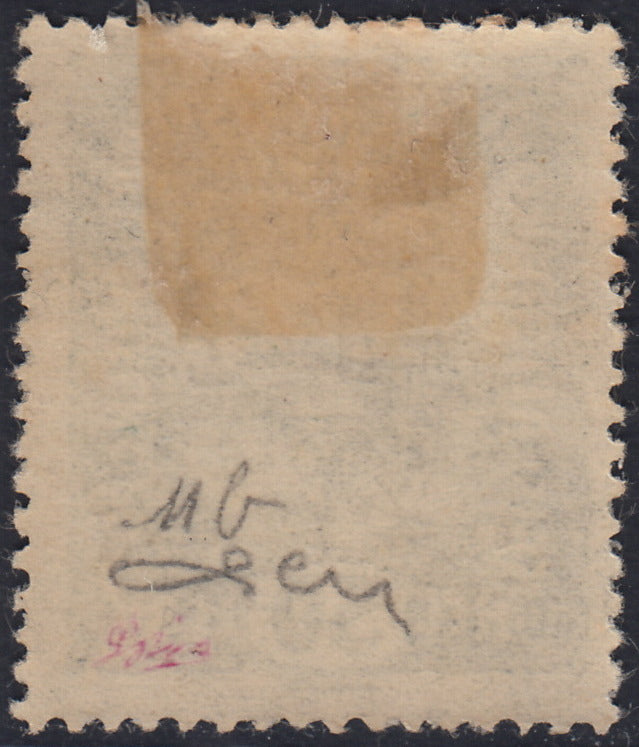 RM10_232 - 1918 - Francobolli d'Austria soprastampati "Regno d'Italia / Trentino / 8 nov. 1918", 50 heller verde soprastampa capovolta nuovo con gomma originale (11b)