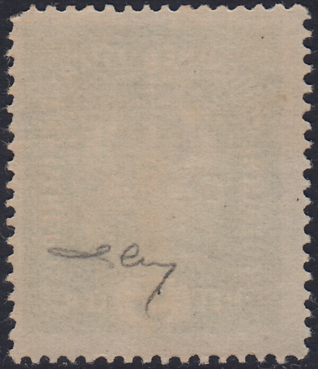 RM10_34 - 1918 - Francobolli d'Austria soprastampati "Regno d'Italia / Trentino / 8 nov. 1918", 5 heller verde giallo nuovo con gomma originale (2)