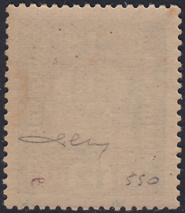 RM10_238 - 1918 - Francobolli d'Austria soprastampati "Regno d'Italia / Trentino / 8 nov. 1918", 12 heller verde azzurro soprastampa obliqua nuovo con gomma originale (5)