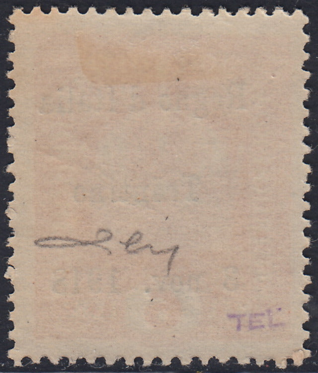 RM10_236 - 1918 - Francobolli d'Austria soprastampati "Regno d'Italia / Trentino / 8 nov. 1918", 6 heller arancio soprastampa obliqua nuovo con gomma originale (3faa)