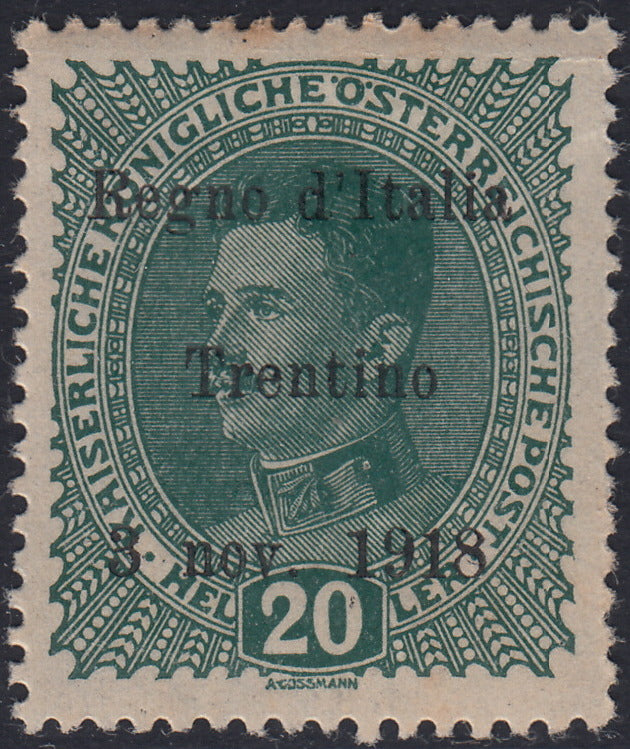 RM10_238 - 1918 - Francobolli d'Austria soprastampati "Regno d'Italia / Trentino / 8 nov. 1918", 20 heller verde scuro nuovo con gomma originale (7)