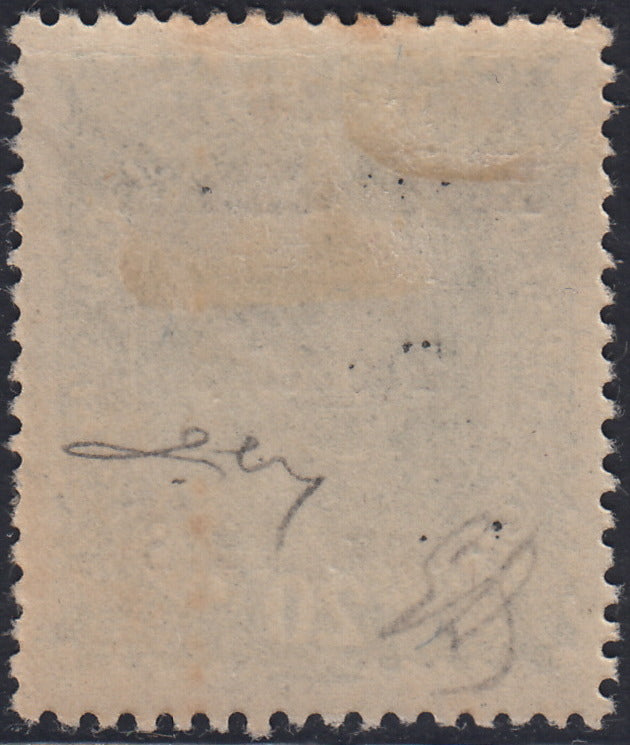 RM10_238 - 1918 - Francobolli d'Austria soprastampati "Regno d'Italia / Trentino / 8 nov. 1918", 20 heller verde scuro nuovo con gomma originale (7)