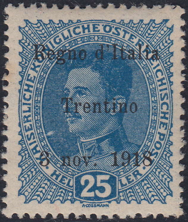RM10_239 - 1918 - Francobolli d'Austria soprastampati "Regno d'Italia / Trentino / 8 nov. 1918", 25 heller azzurro nuovo con gomma originale (8)
