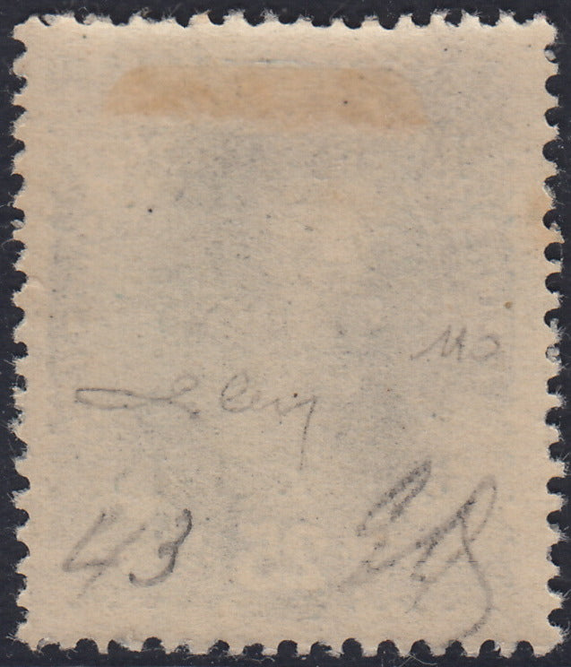 RM10_239 - 1918 - Francobolli d'Austria soprastampati "Regno d'Italia / Trentino / 8 nov. 1918", 25 heller azzurro nuovo con gomma originale (8)