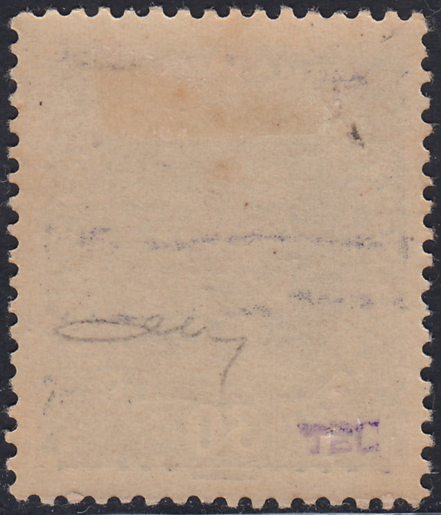 RM10_240 - 1918 - Francobolli d'Austria soprastampati "Regno d'Italia / Trentino / 8 nov. 1918", 30 heller violetto grigio nuovo con gomma originale (9)