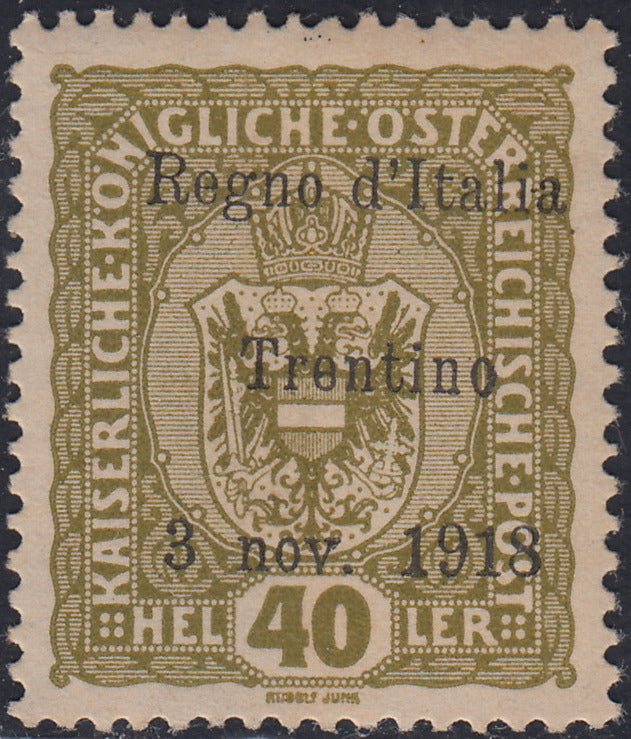 RM10_241 - 1918 - Francobolli d'Austria soprastampati "Regno d'Italia / Trentino / 8 nov. 1918", 40 heller oliva nuovo con gomma originale (10)