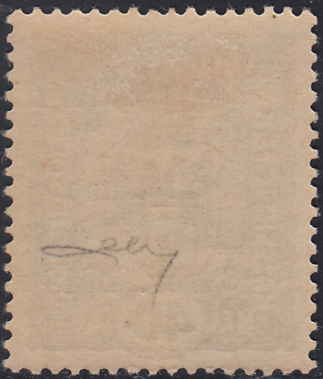 RM10_241 - 1918 - Francobolli d'Austria soprastampati "Regno d'Italia / Trentino / 8 nov. 1918", 40 heller oliva nuovo con gomma originale (10)