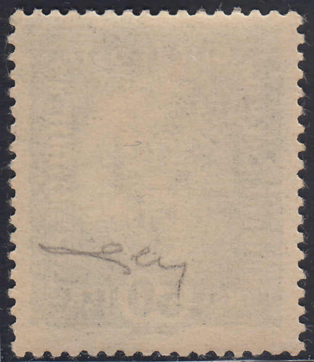 RM10_242 - 1918 - Francobolli d'Austria soprastampati "Regno d'Italia / Trentino / 8 nov. 1918", 50 heller verde nuovo con gomma originale (11)