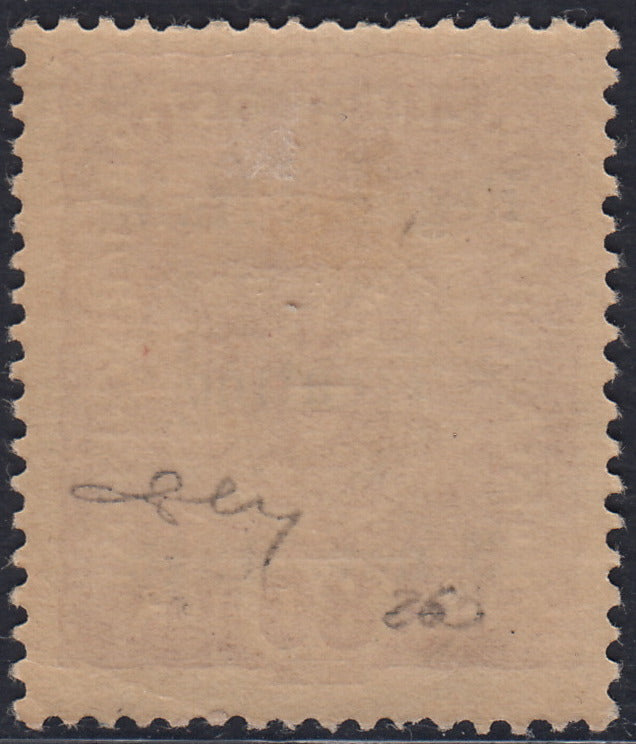 RM10_243 - 1918 - Francobolli d'Austria soprastampati "Regno d'Italia / Trentino / 8 nov. 1918", 80 heller bruno rosso nuovo con gomma originale (13)