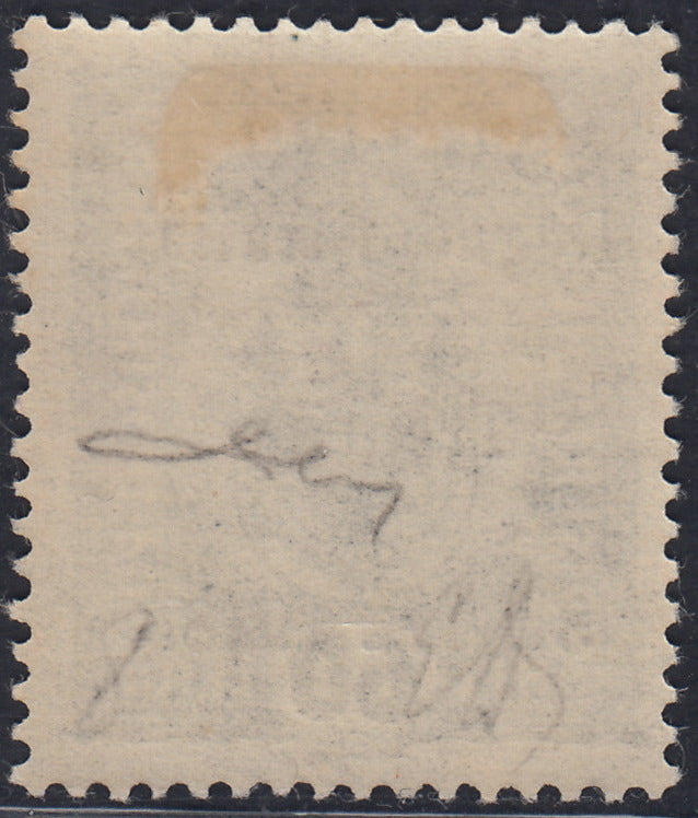 RM10_244 - 1918 - Francobolli d'Austria soprastampati "Regno d'Italia / Trentino / 8 nov. 1918", 60 heller cobalto scuro nuovo con gomma originale (12)