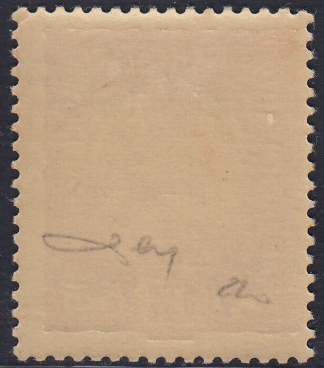 RM10_245 - 1918 - Francobolli d'Austria soprastampati "Regno d'Italia / Trentino / 8 nov. 1918", 1 korona rosa su carta gialla nuovo con gomma originale (15)