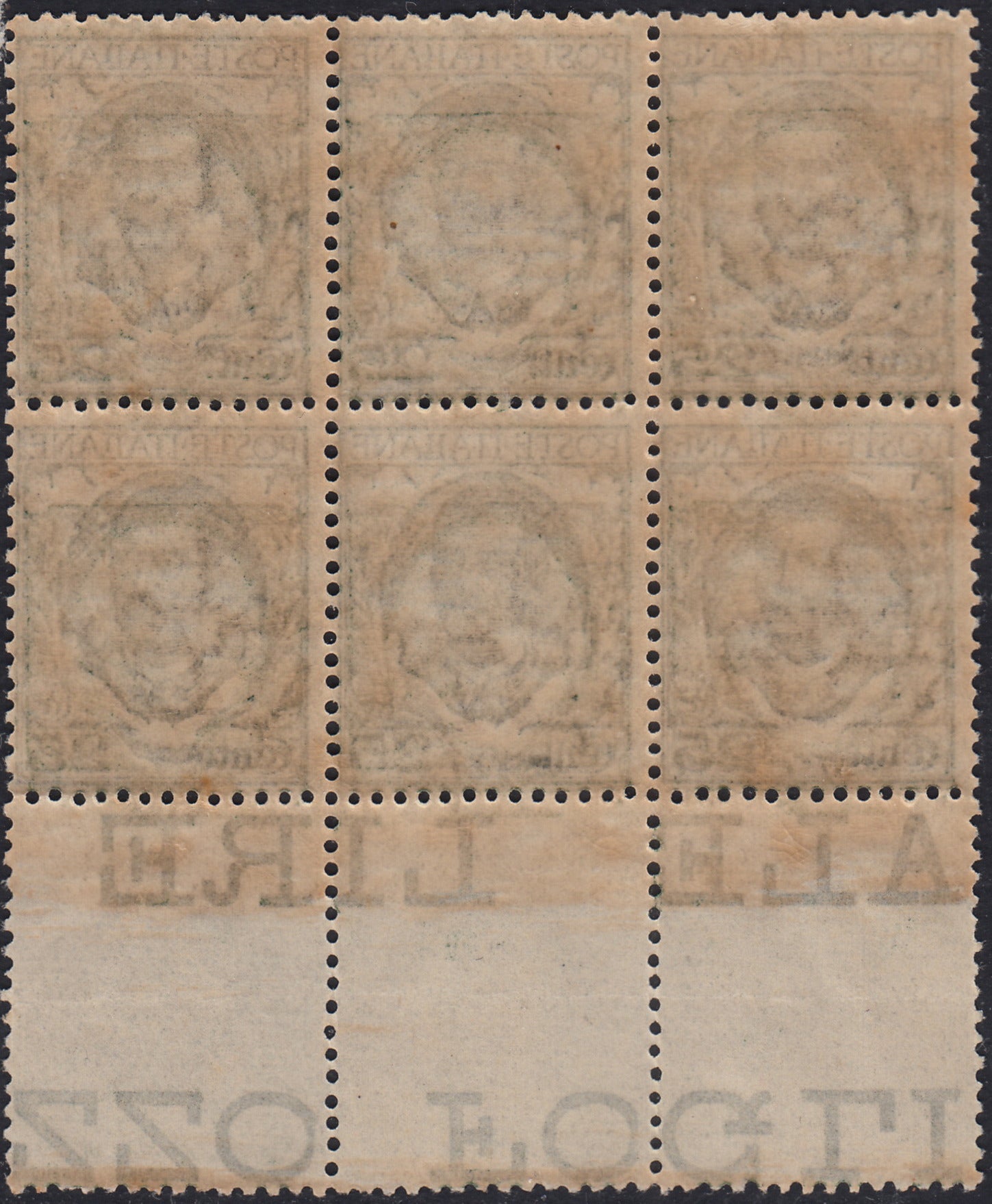 RM10_246 - 1926 - Floreale, c. 25 verde blocco di sei con doppia stampa dell'ornato nuovo integro (200b)