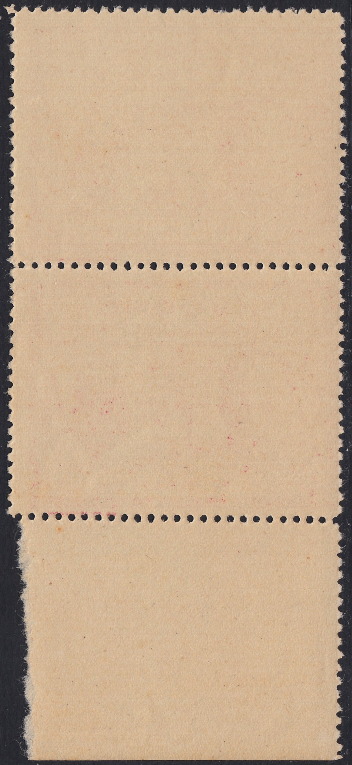 RM10_252 - 1930 - Livorno, Mussolini Opera Nazionale Balilla c. 30 rosa lilla coppia verticale nuova gomma integra (1)