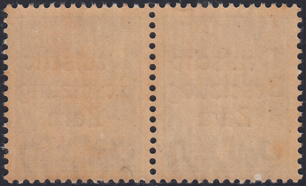 RM10_25 - 1943 - Occupazione tedesca di Zara, Posta Aerea c. 25 verde scuro soprastampato "Deutsche BesetzuAg Zara" in coppia con esemplare normale nuovo con gomma integra (1a + 1)