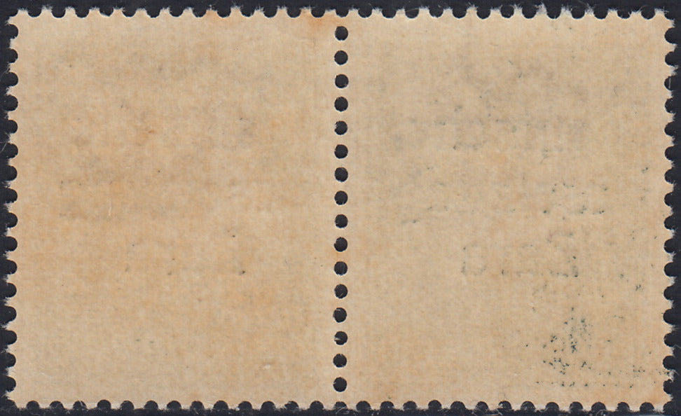 RM10_26 - 1943 - Occupazione tedesca di Zara, Posta Aerea c. 50 bruno soprastampato "Deutsche BesetzuAg Zara" in coppia con esemplare normale nuovo con gomma integra (2a + 2)