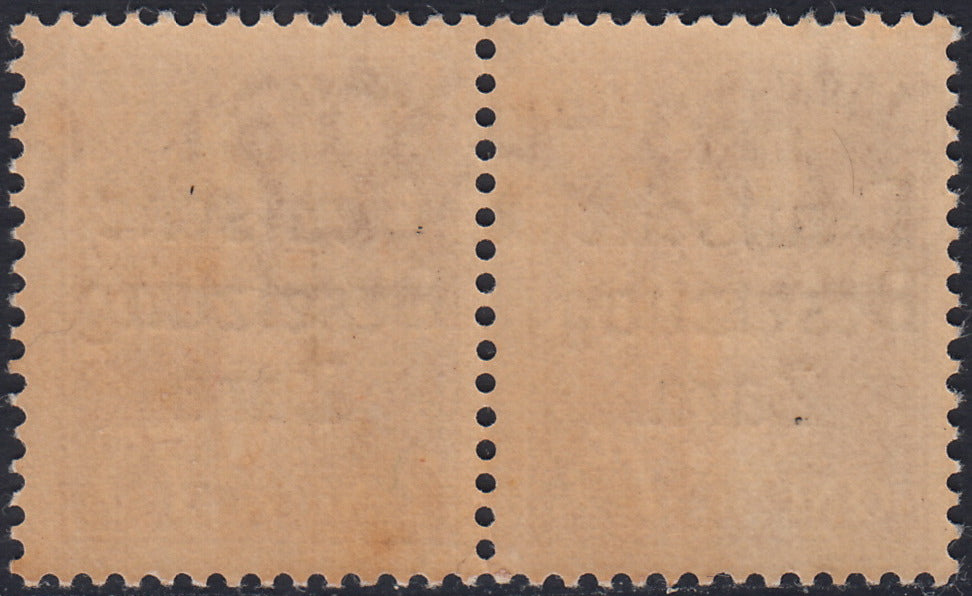 RM10_27 - 1943 - Occupazione tedesca di Zara, Posta Aerea c. 75 bruno giallo soprastampato "Deutsche BesetzuAg Zara" in coppia con esemplare normale nuovo con gomma integra (3a + 3)