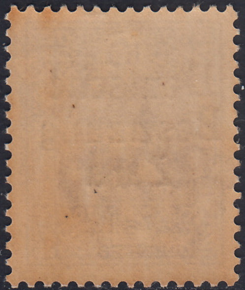 RM10_38 - 1943 - Occupazione tedesca di Zara, Segnatasse di Regno L. 5 violetto soprastampato "Deutsche Besetzung Zara" nuovo con gomma integra (11)