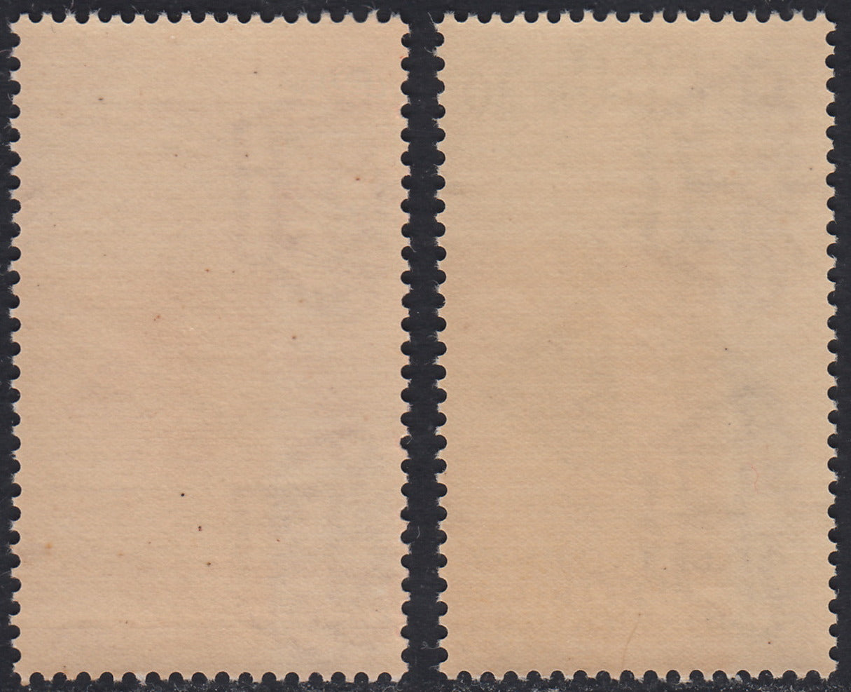 RN360 - 1934 1st international congress of Electro-Radio-Biology, two new values ​​for intact rubber (364/5)