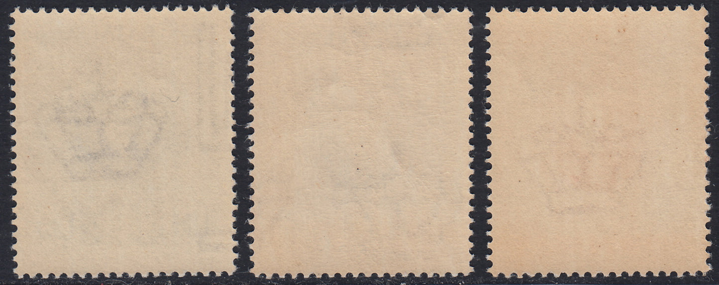 RN279 - 1938 - In honor of Guglielmo Margoni, series of three new examples with intact rubber. (436/8)