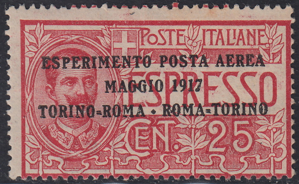 RN294 - 1917 - Francobollo per Espresso soprastampato c. 25 rosso nuovo con gomma integra. (1)