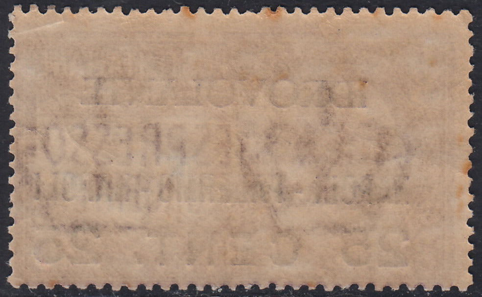 RN296 - 1917 - Unissued urgent express overprinted "IDROVOLANTE NAPOLI - PALERMO - NAPLES 25 CENT. 25" new violet with intact rubber. (2)