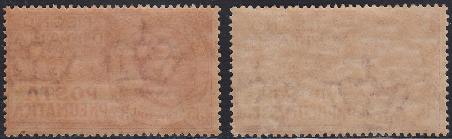 RN325 - 1927/8 - Posta Pneumatica, set of two new values ​​with intact rubber (S1904, 12/13)