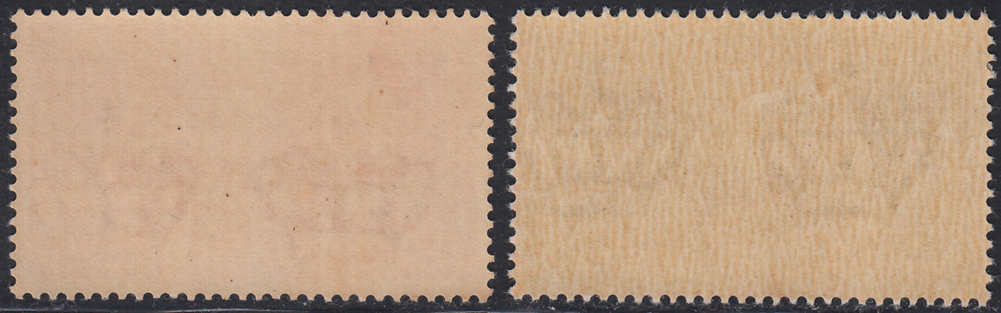 RN325 - 1927/8 - Posta Pneumatica, set of two new values ​​with intact rubber (S1904, 12/13)