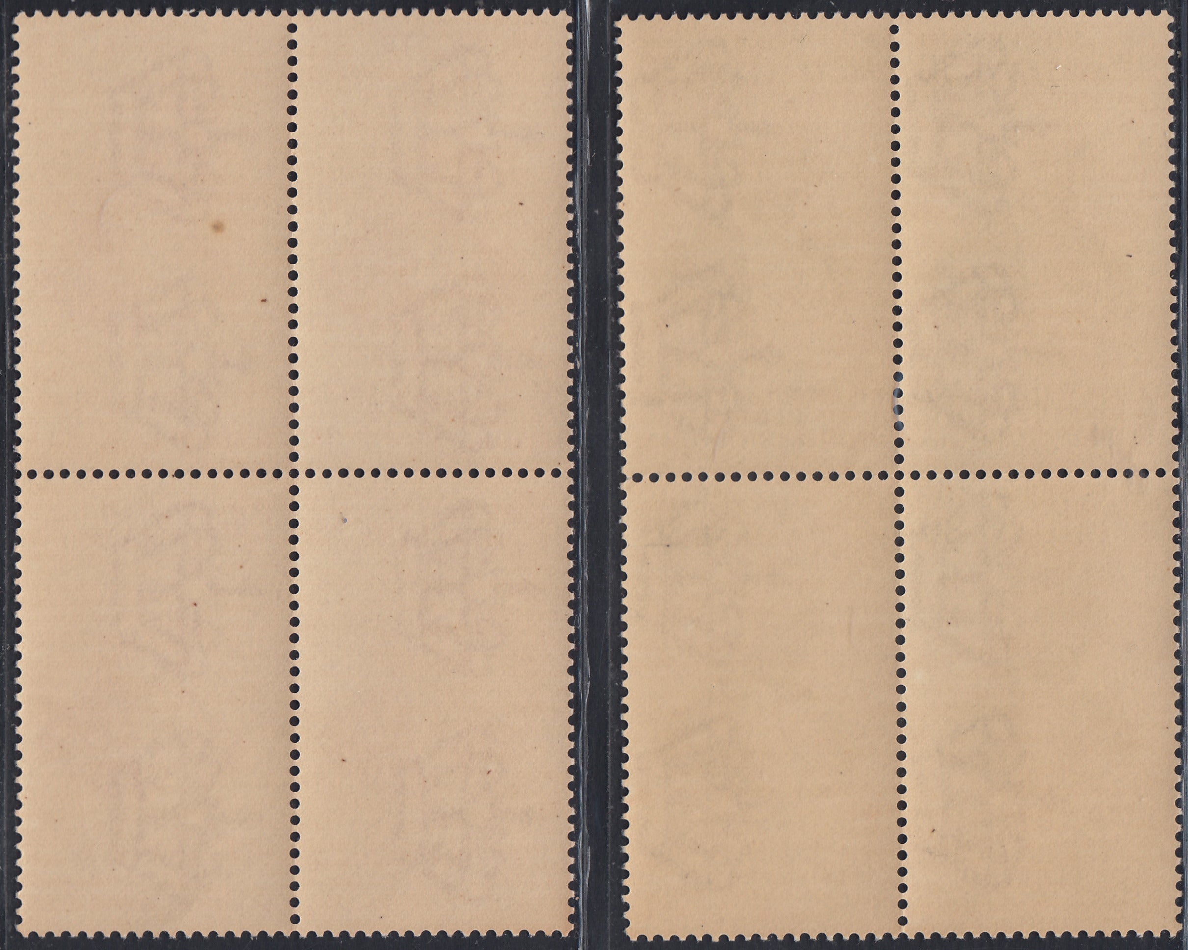 RN342 - 1934 - Electro_Biology Congress, complete set of two new values ​​with intact gum in quadruplets (364/5)