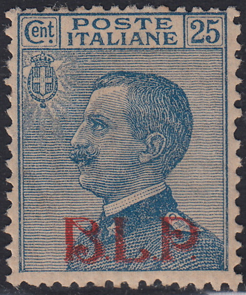 RN358 - 1921 - Michetti c. 25 azzurro soprastampa BLP Litografica del I tipo nuovo con gomma originale (3).