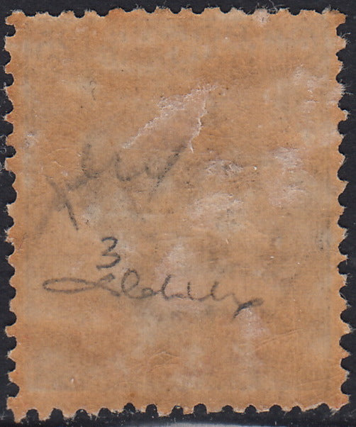 RN358 - 1921 - Michetti c. 25 azzurro soprastampa BLP Litografica del I tipo nuovo con gomma originale (3).