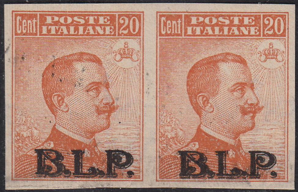 RN179 - 1922/23 - Michetti type stamp of the Kingdom c. 20 orange, light blue overprint BLP lithographic type II, new with intact gum (7)
