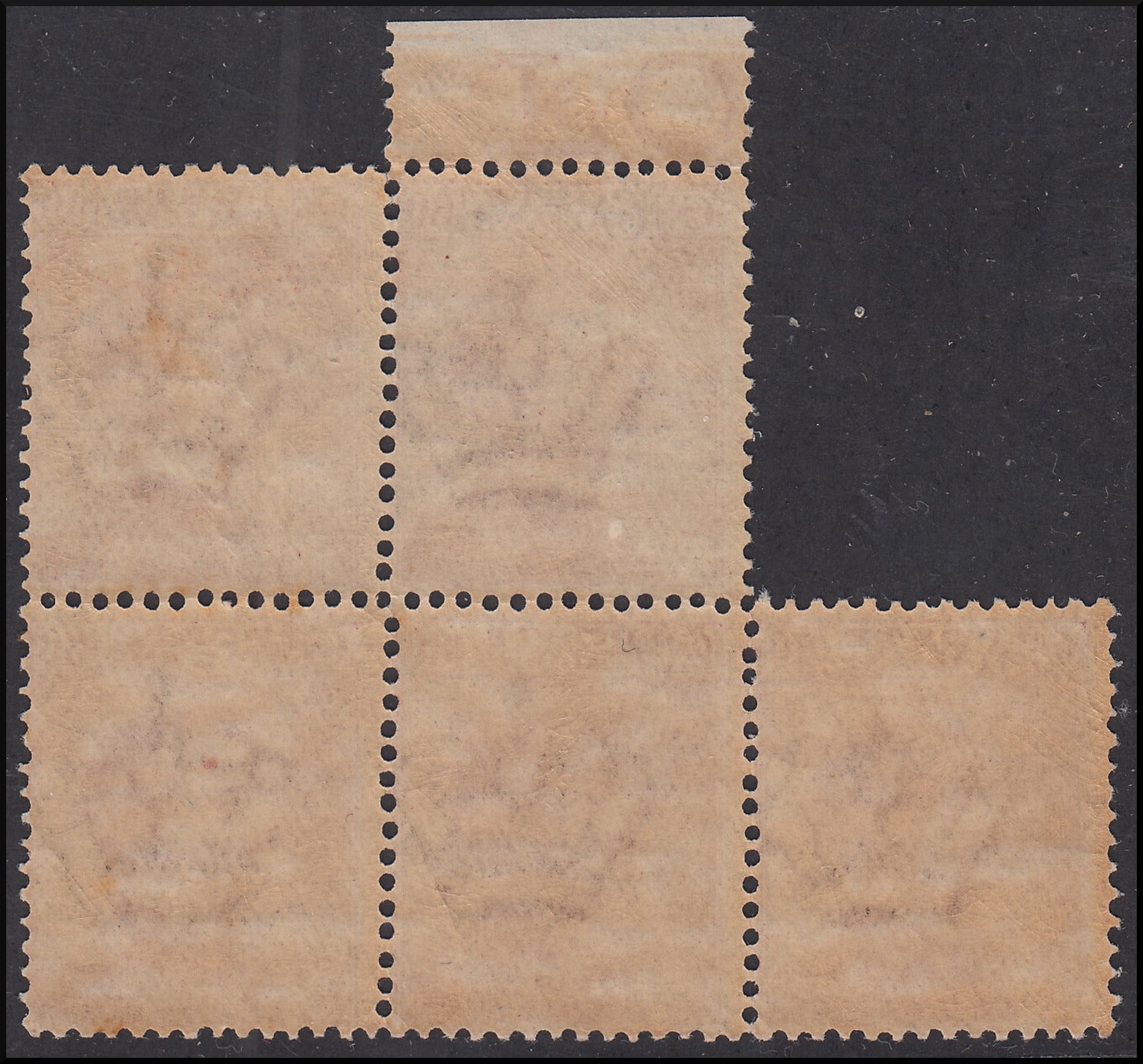 RN65 - 1917-20 - Effige di V. E. III volta a sinistra, blocco di 5 esemplari del c. 60 carminio con varietà " stampa incopleta o evanescente " nuovo con gomma integra (111b)