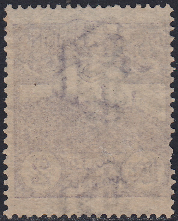 SM24 - 1903 - Vedute della Repubblica, L. 2 violetto usato (44)